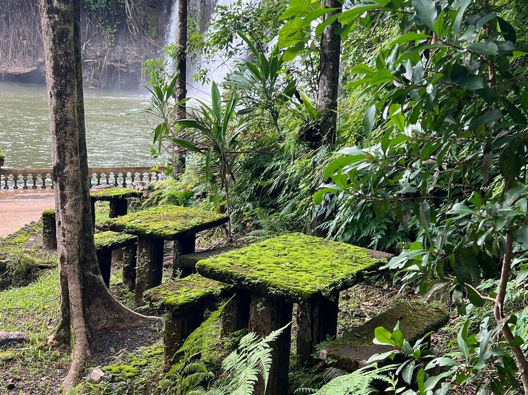 Tropic Wings Cairns Tours & Charters-凯恩斯必去景点