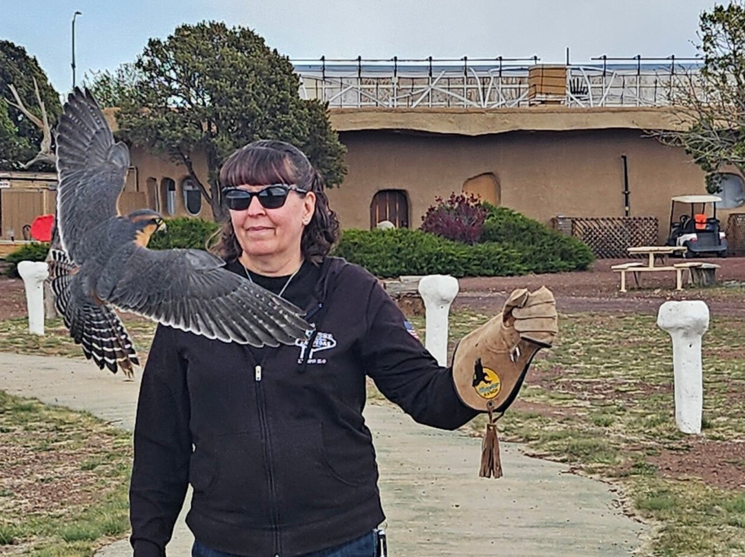 Raptor Ranch-威廉姆斯必去景点