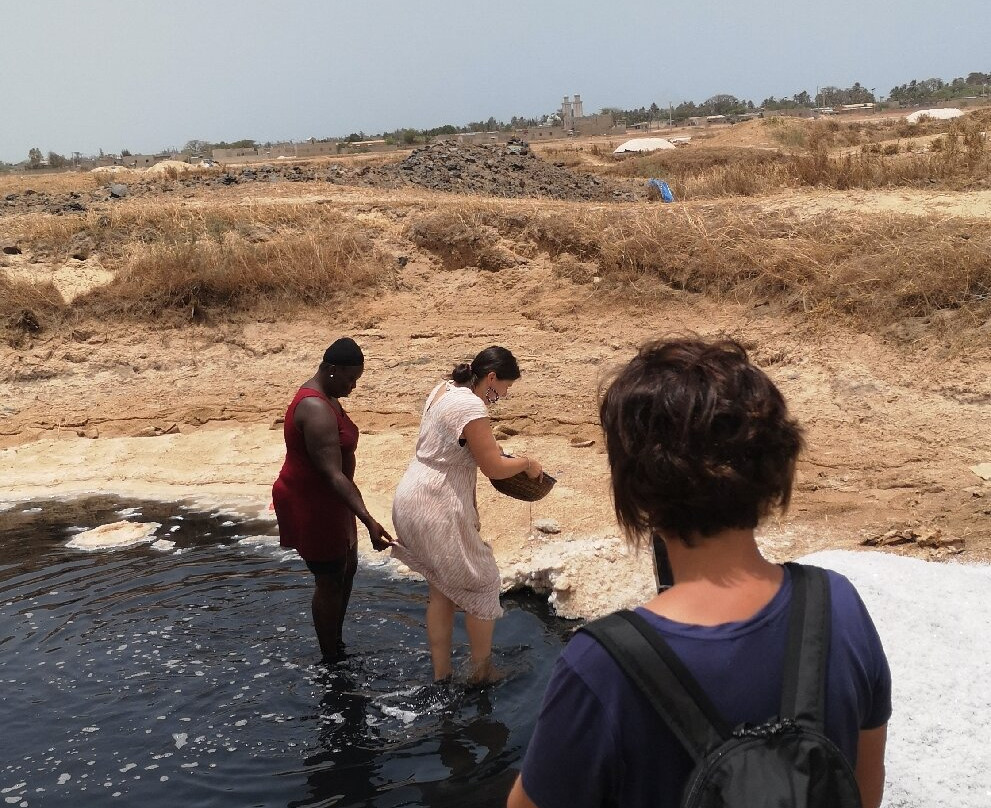 Iles du Saloum Decouverte景点图片
