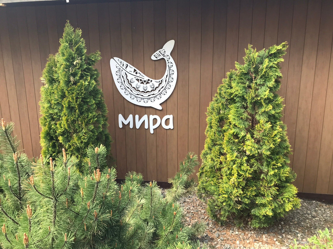 Mira Termy. Sosnovy bor-新西伯利亚必去景点