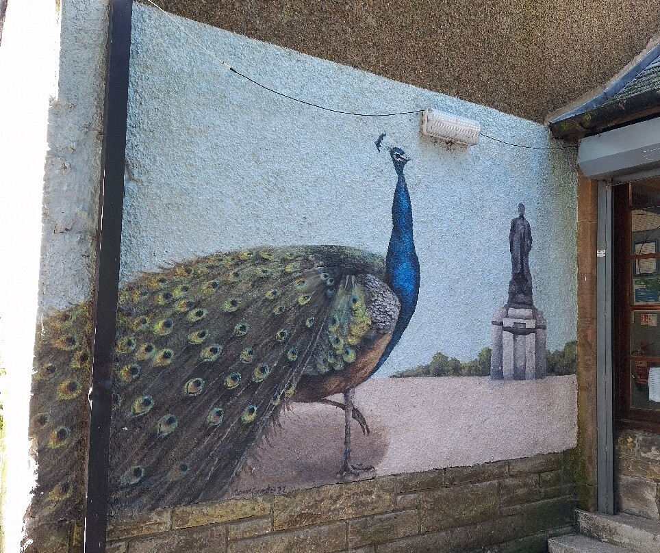Peacocks in Pittencrieff Park-丹弗姆林必去景点