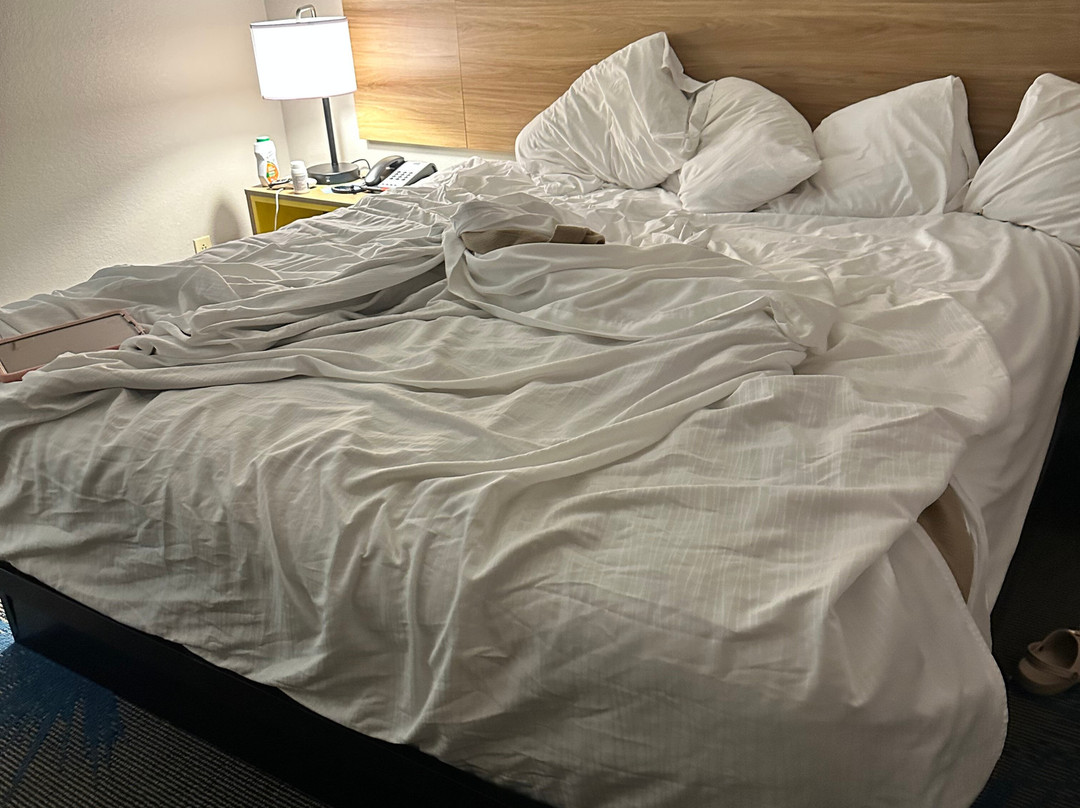 Days Inn & Suites by Wyndham Wynne主图