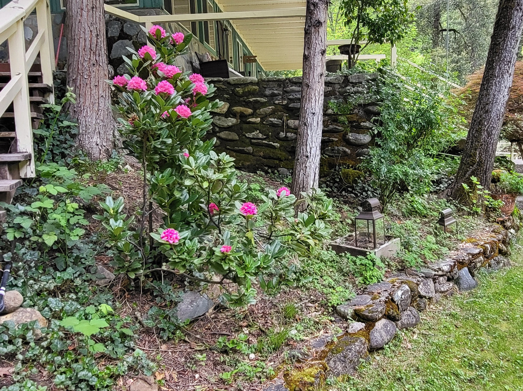 Sierra Shangri-La主图