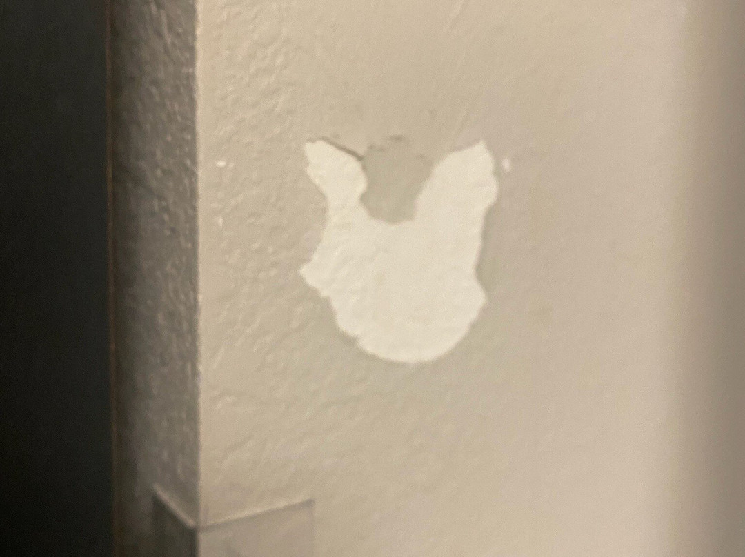 Microtel Inn & Suites by Wyndham Lynchburg主图