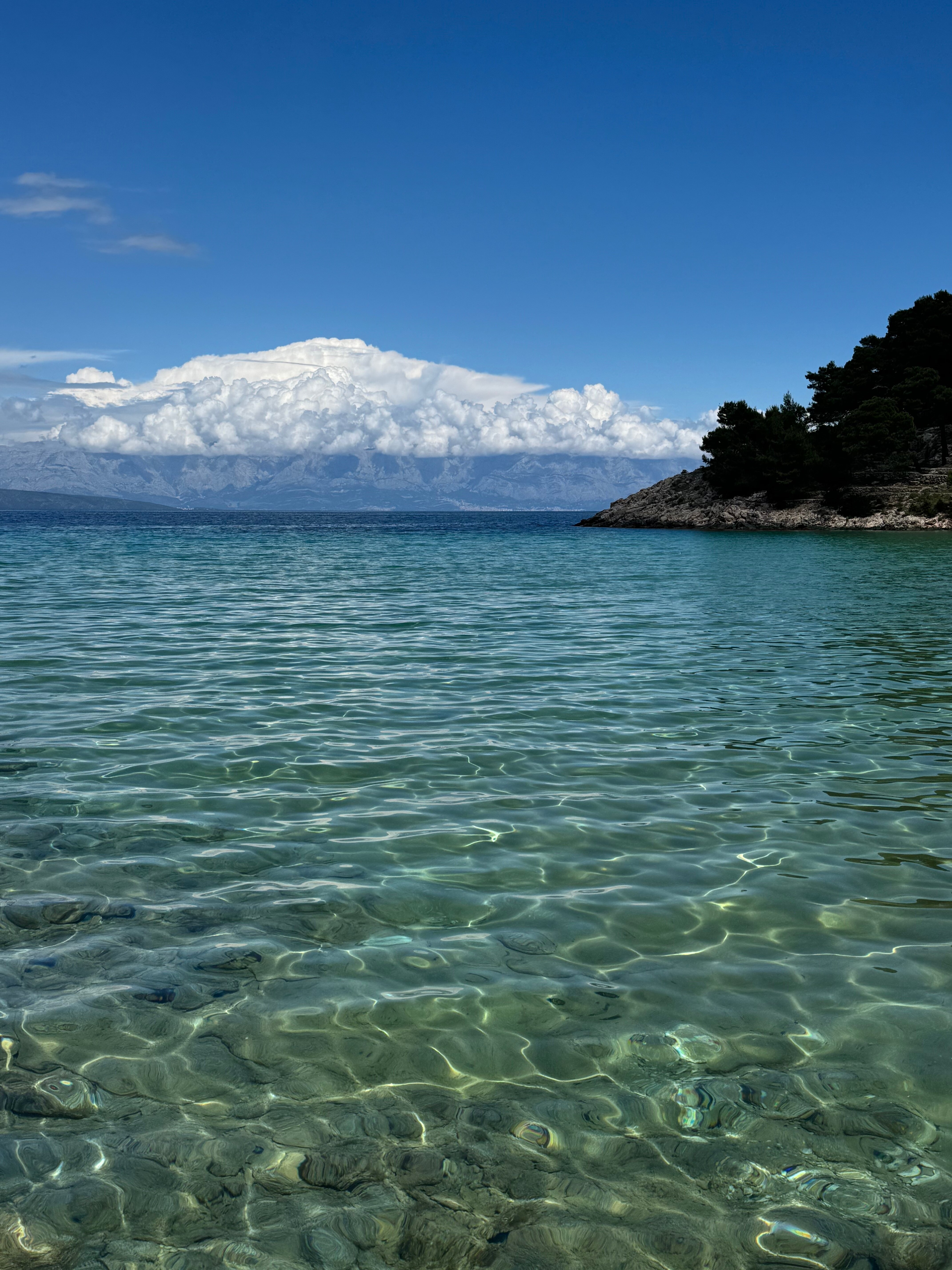 Suncokret Body and Soul Retreat-泳池