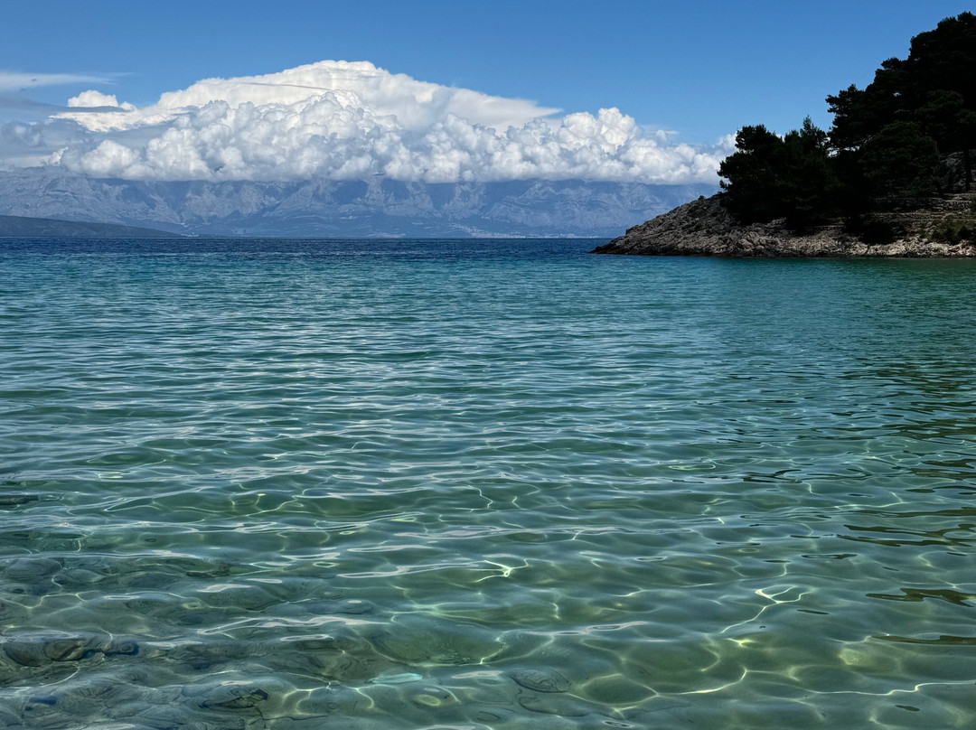 Suncokret Body and Soul Retreat主图