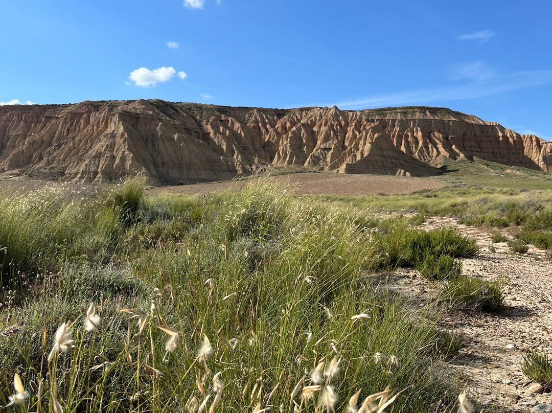 Compania de Guias de las Bardenas-Tudela必去景点