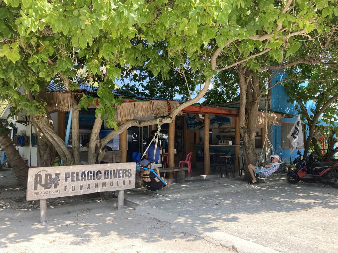Pelagic Divers Fuvahmulah景点图片