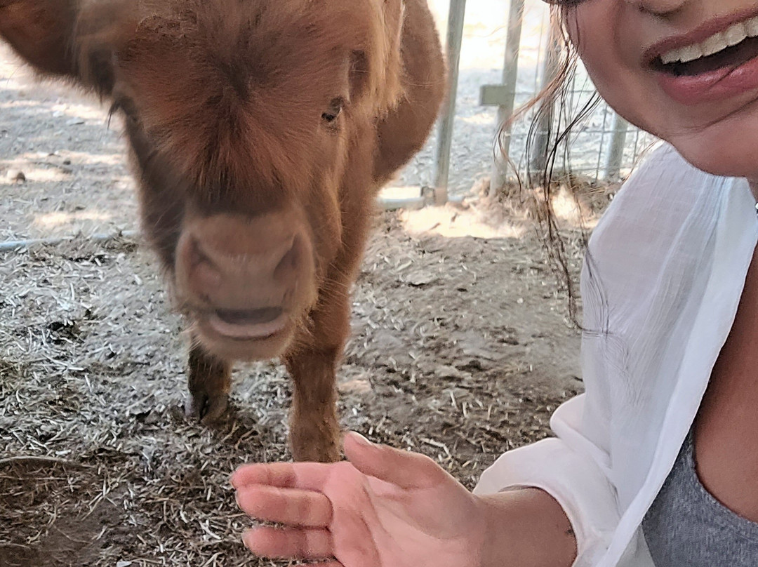 Priority Farm LLC-Sanford必去景点