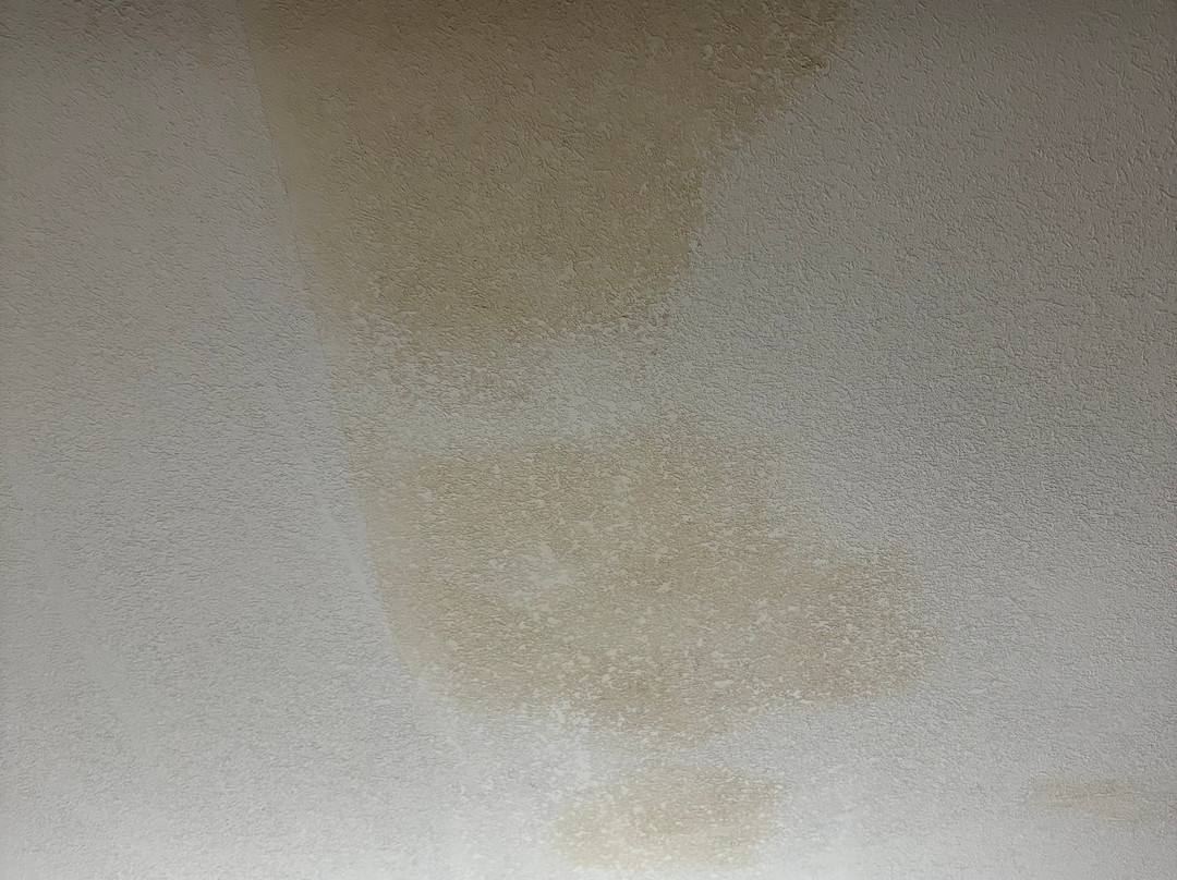 司普拉什哈伯舒适酒店主图