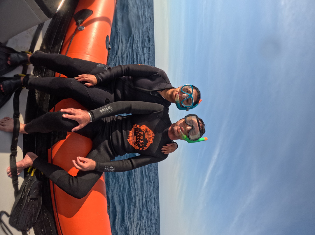 Pisces Diving Sodwana Bay-索德瓦纳必去景点