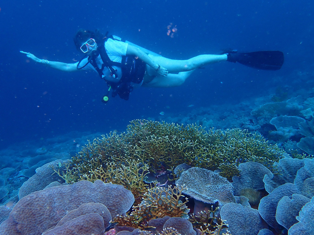 Ocean Ventures Fiji-萨武萨武必去景点