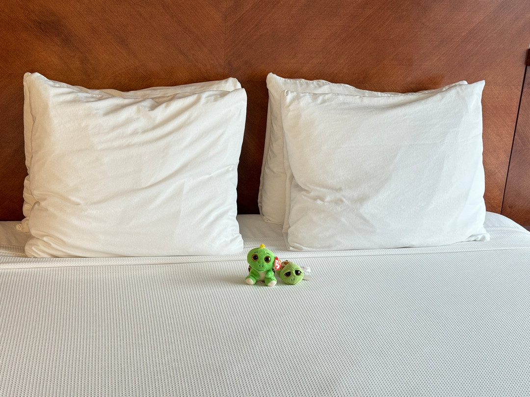 Hyatt Place Long Island/East End主图