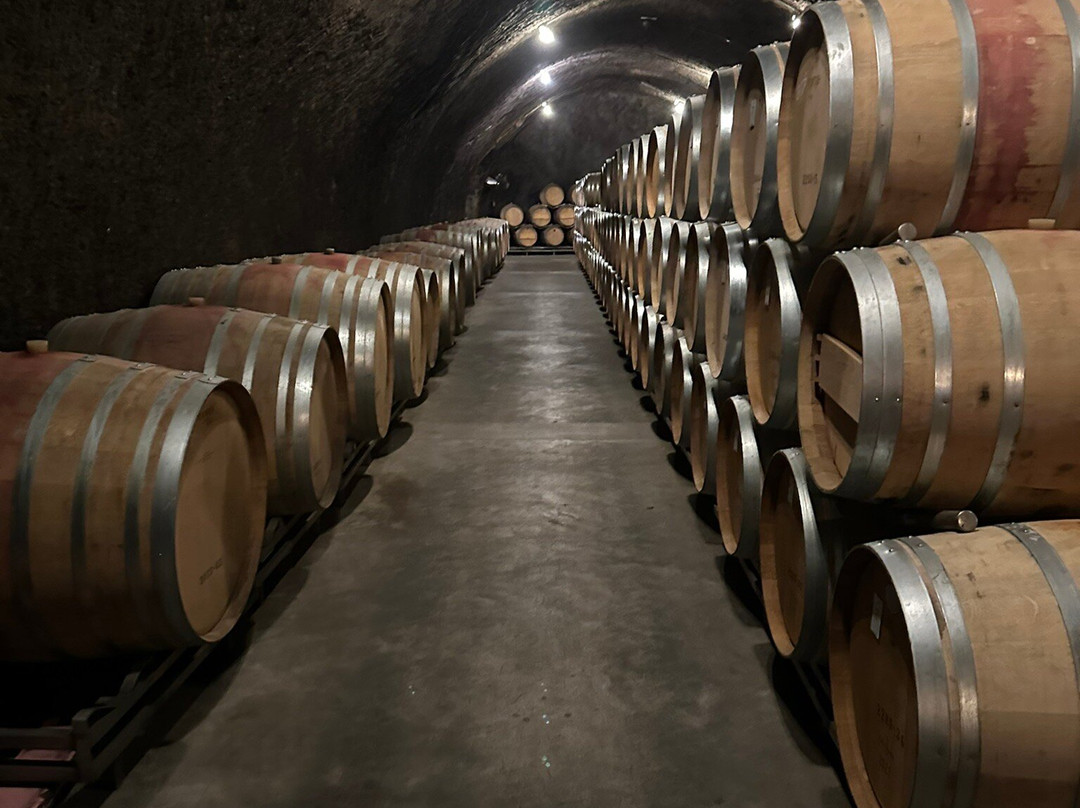 Repris Wines景点图片
