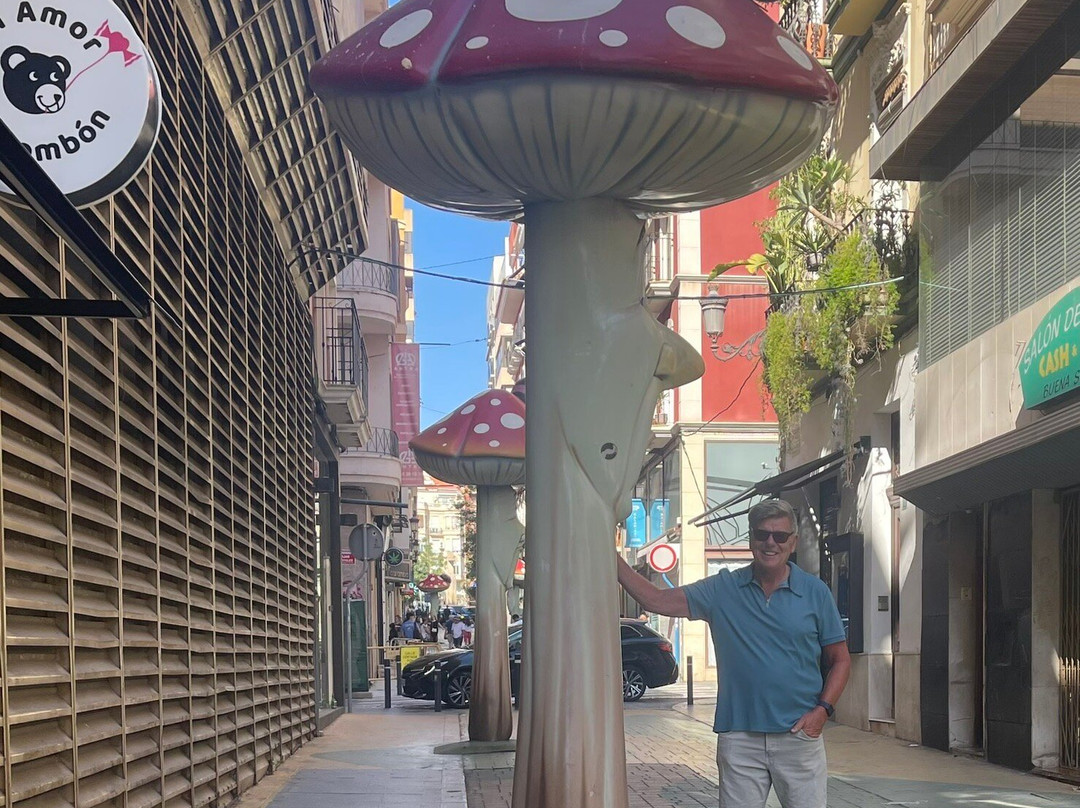 Calle de Las Setas景点图片
