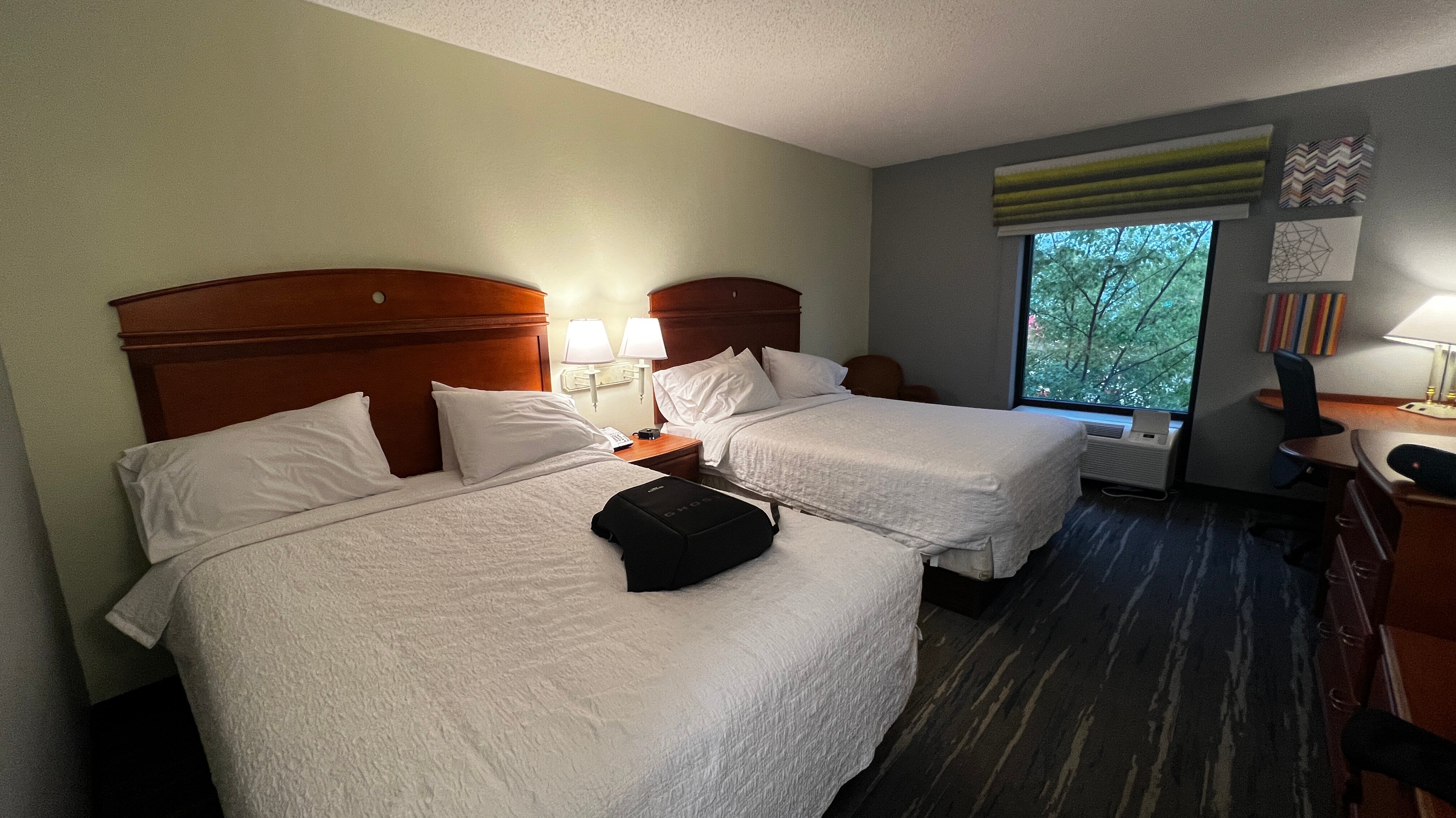 Hampton Inn Geneva-客卧