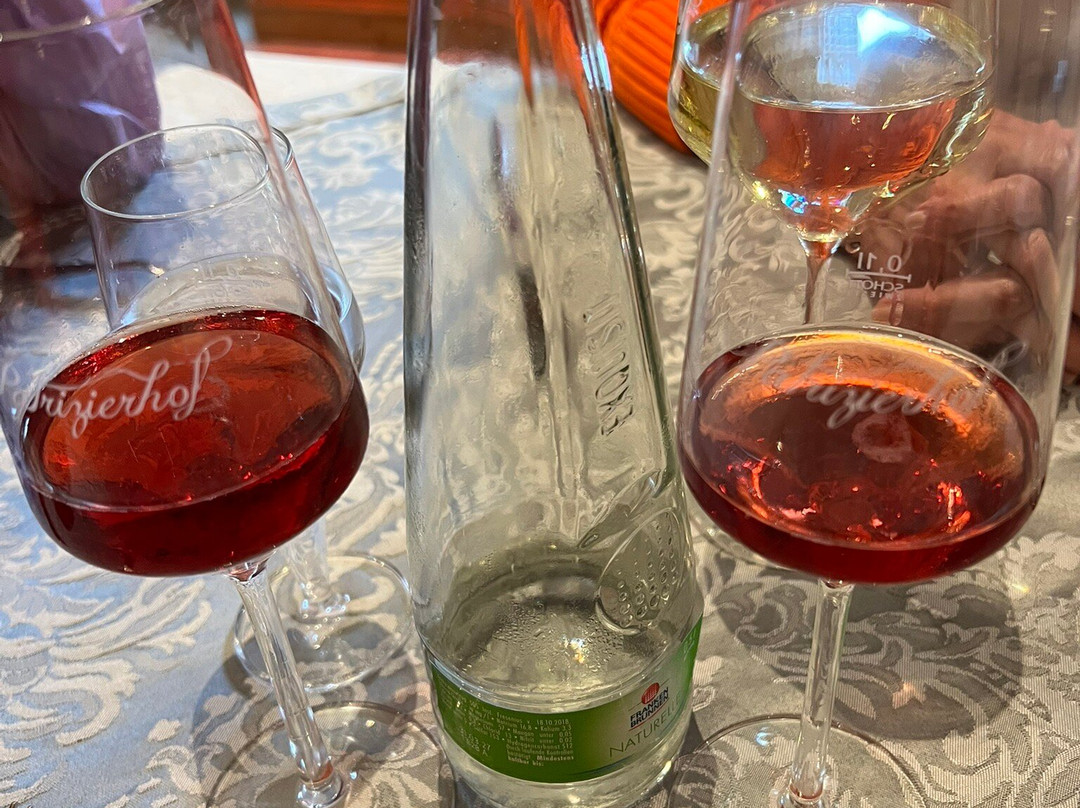 Der Patrizierhof Weingut & Gasthof主图