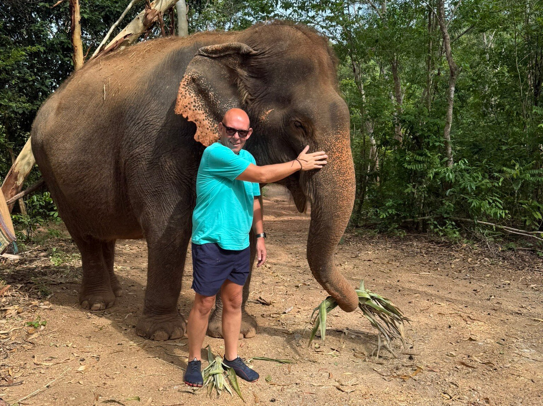 Pattaya Elephant Sanctuary-Bang Sare必去景点