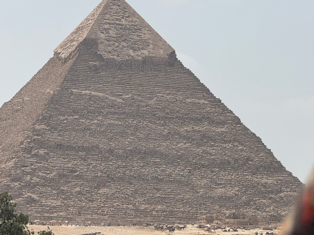 Esencia de Egipto-亚斯文必去景点