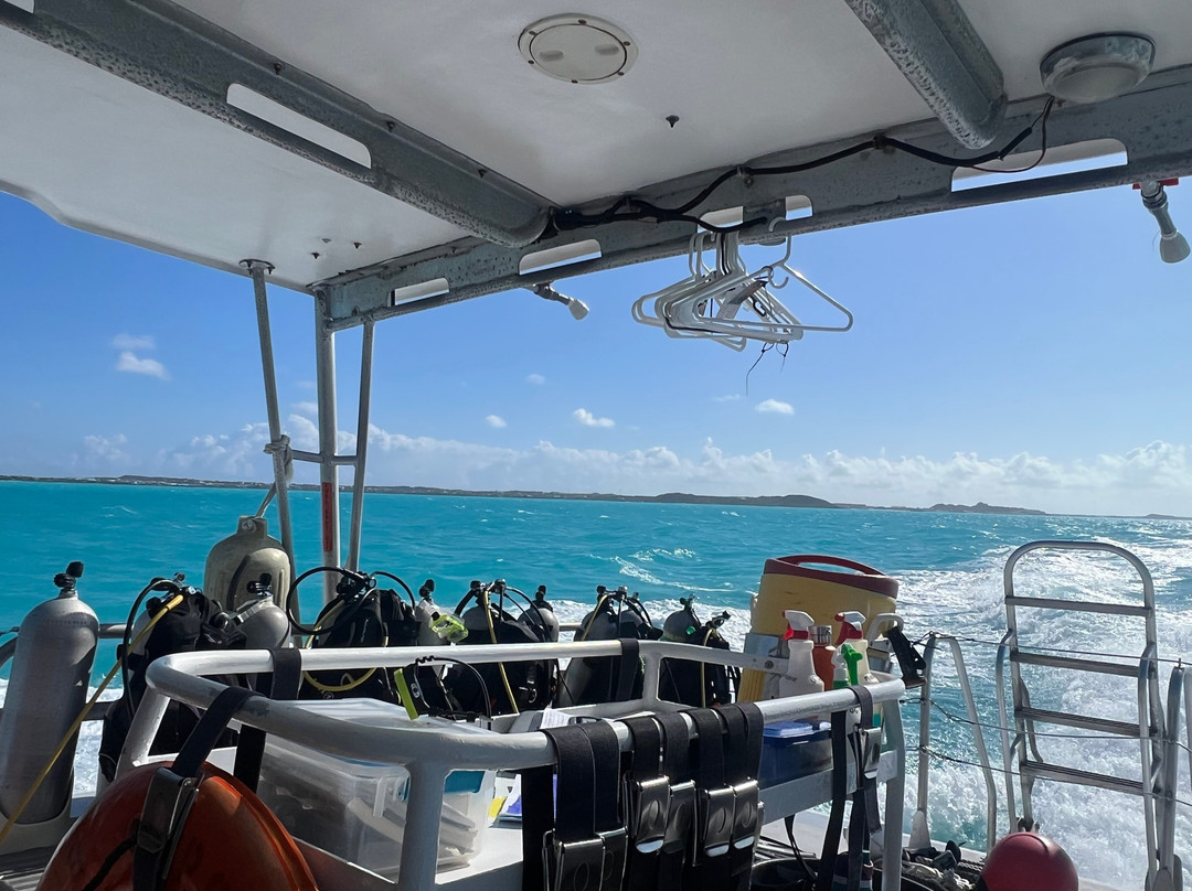 Dive Provo-普罗维登西亚莱斯必去景点