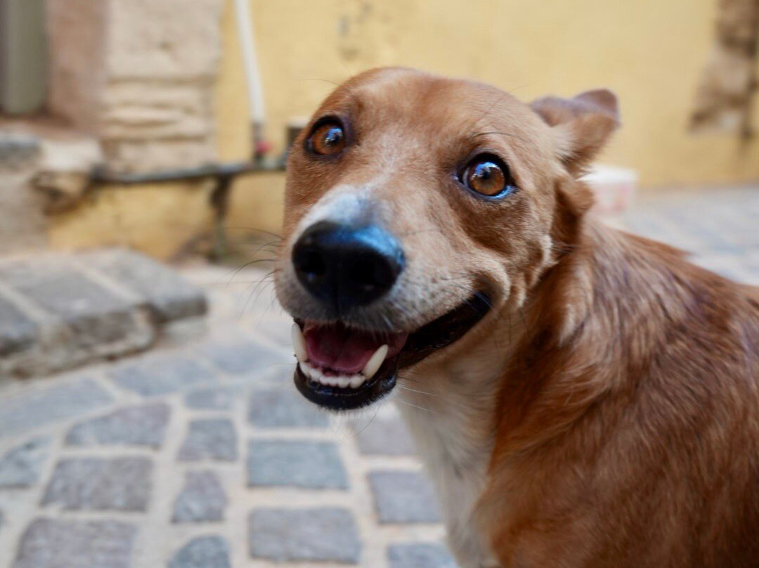 Crete Lux Travel-干尼亚必去景点