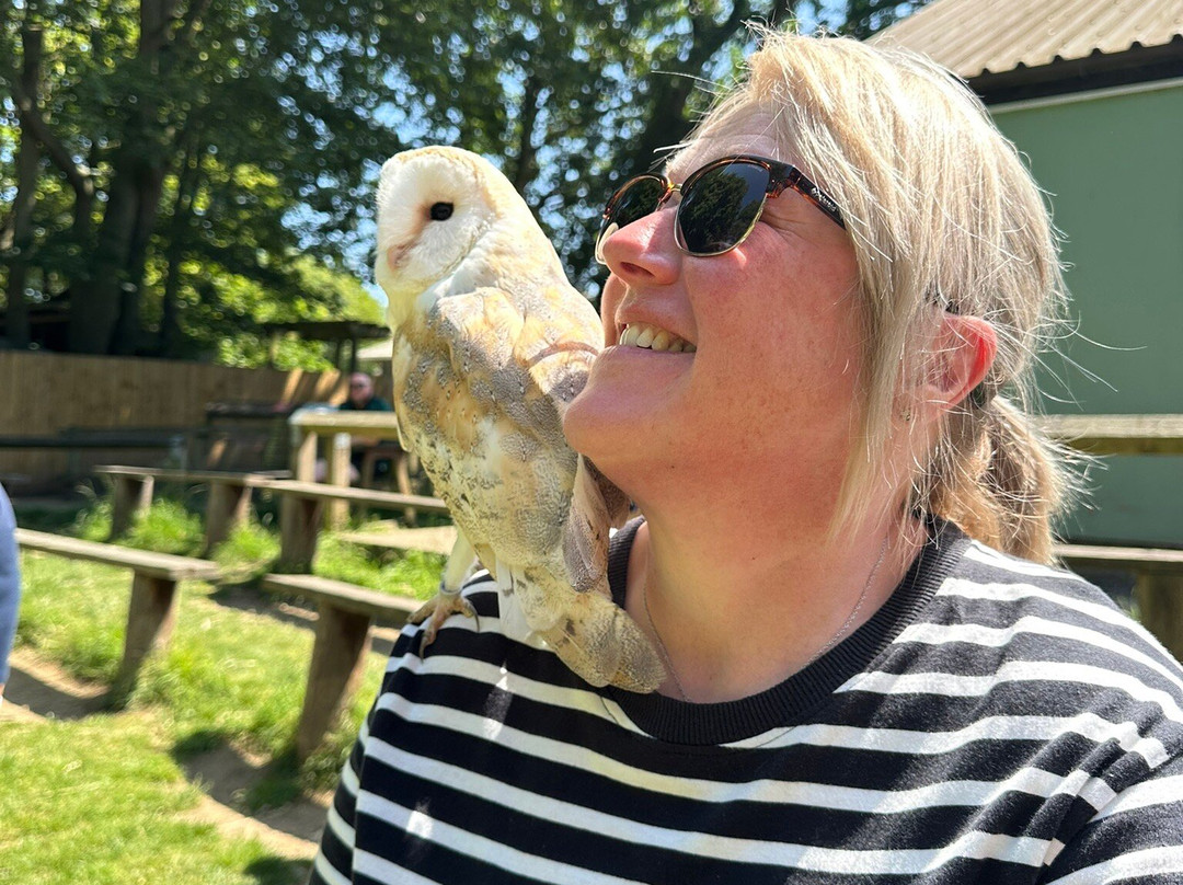Bridlington Animal Park景点图片