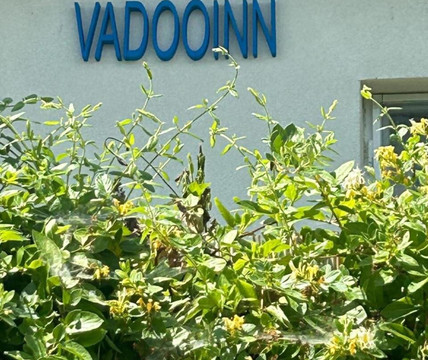 VadooInn