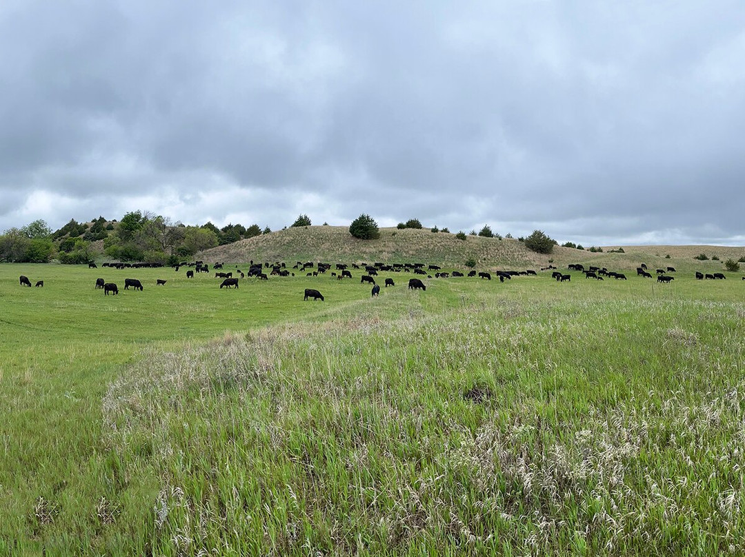 Rowse's 1+1 Ranch-Burwell必去景点