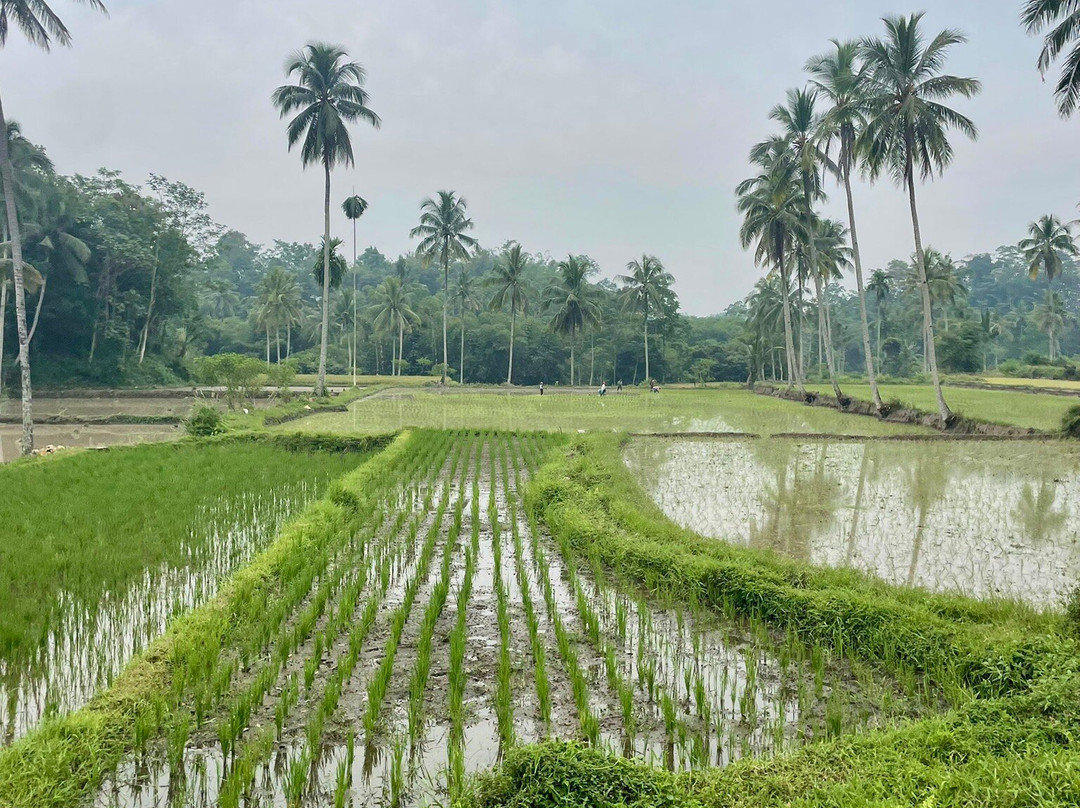 Samson West Bali Transport-吉利马努克必去景点