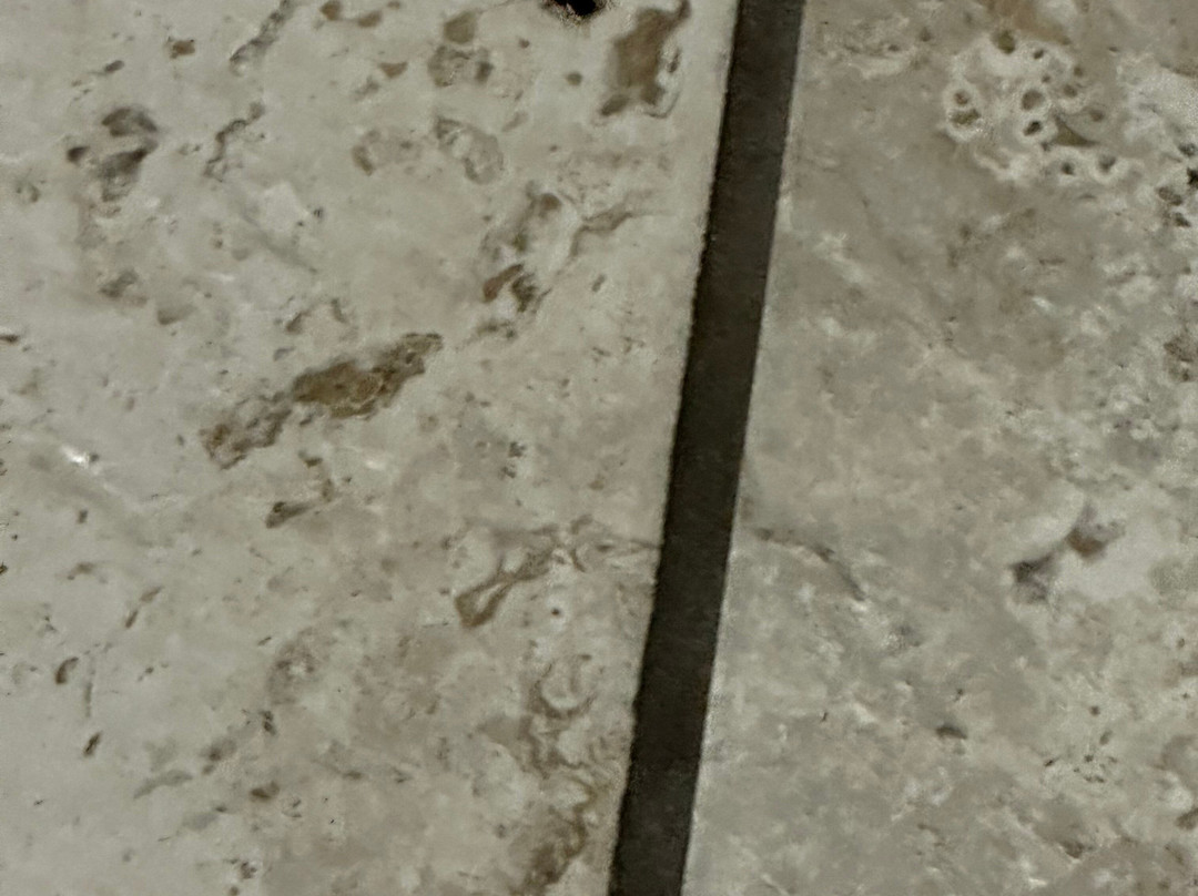 Super 8 by Wyndham Roseville/Detroit Area主图