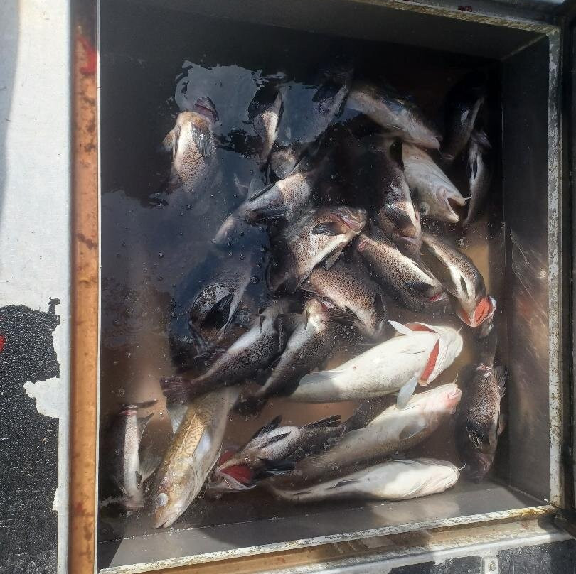 Crazy Rays Adventures-惠提尔必去景点