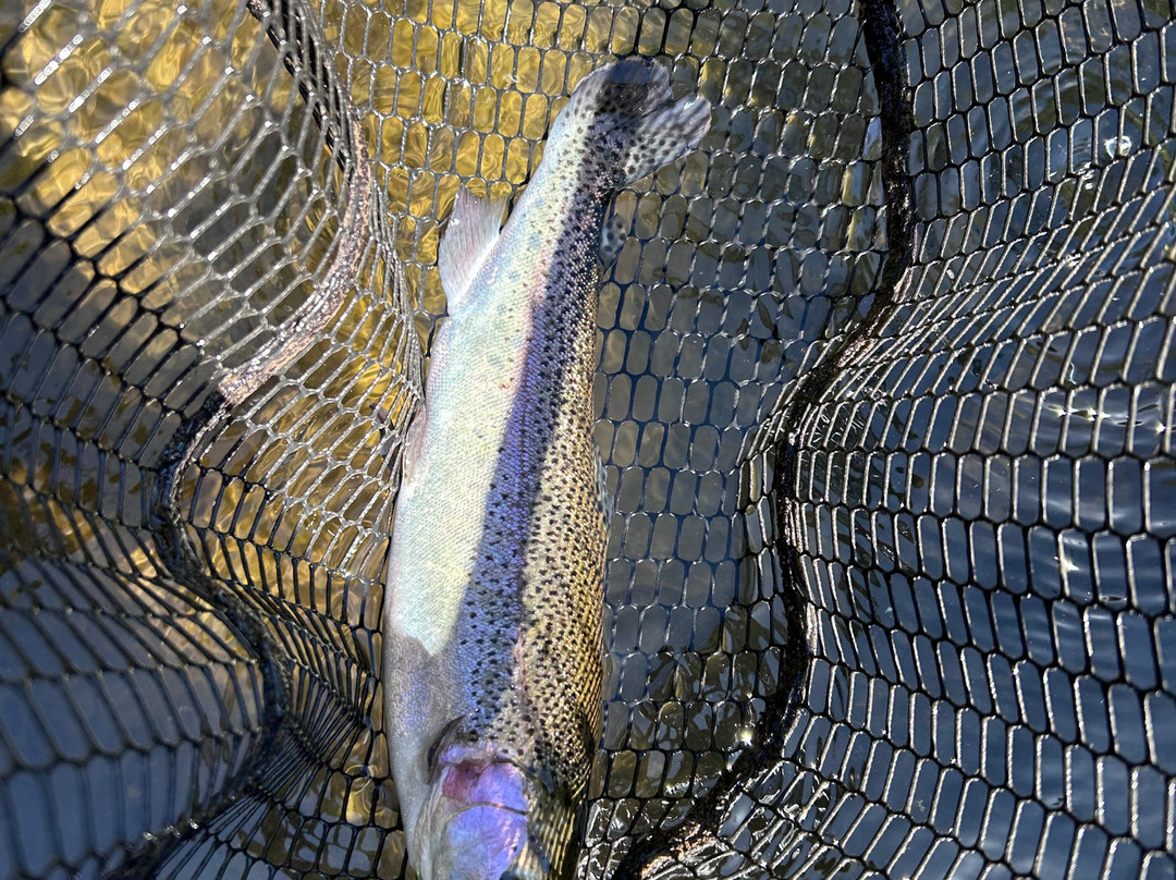 Sedona Fly Fishing Adventures-塞多纳必去景点