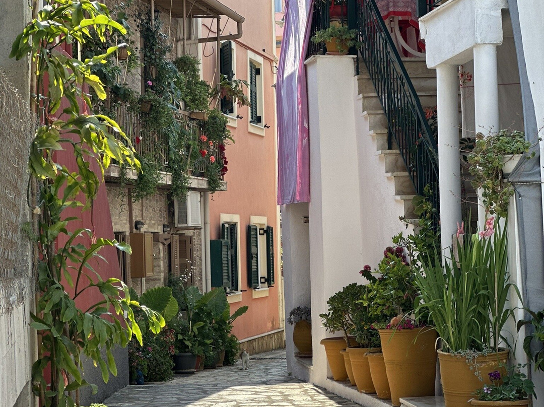 Skevoulis Studios主图