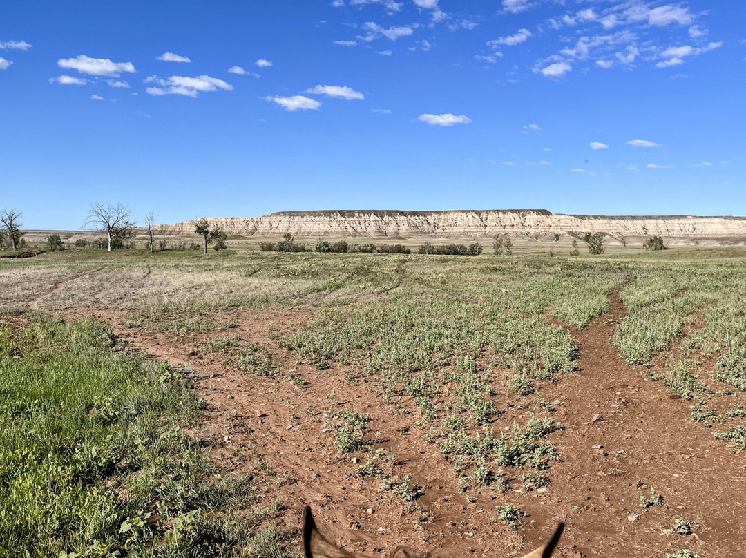 Hurley Butte Horseback Riding-Interior必去景点