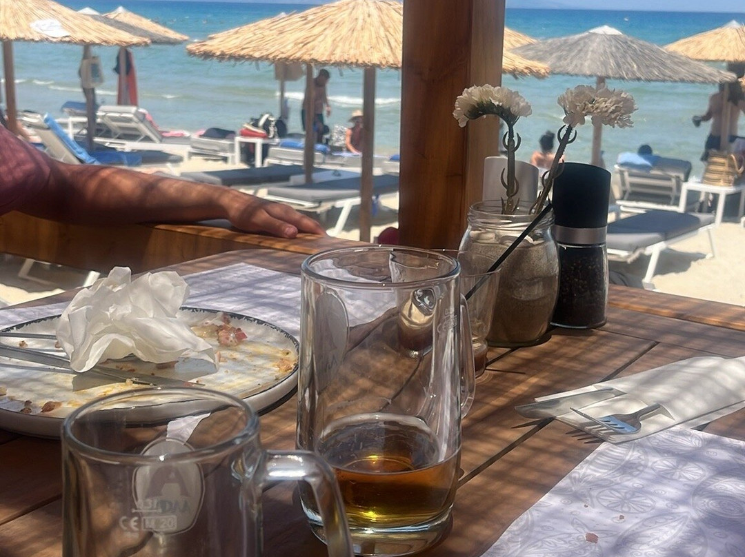 Palm Tree-阿雷克斯必去景点