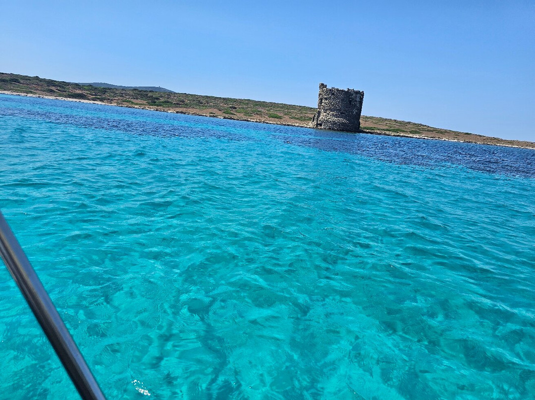 Amato Escursioni Nautiche di Daniele Amato-Asinara必去景点