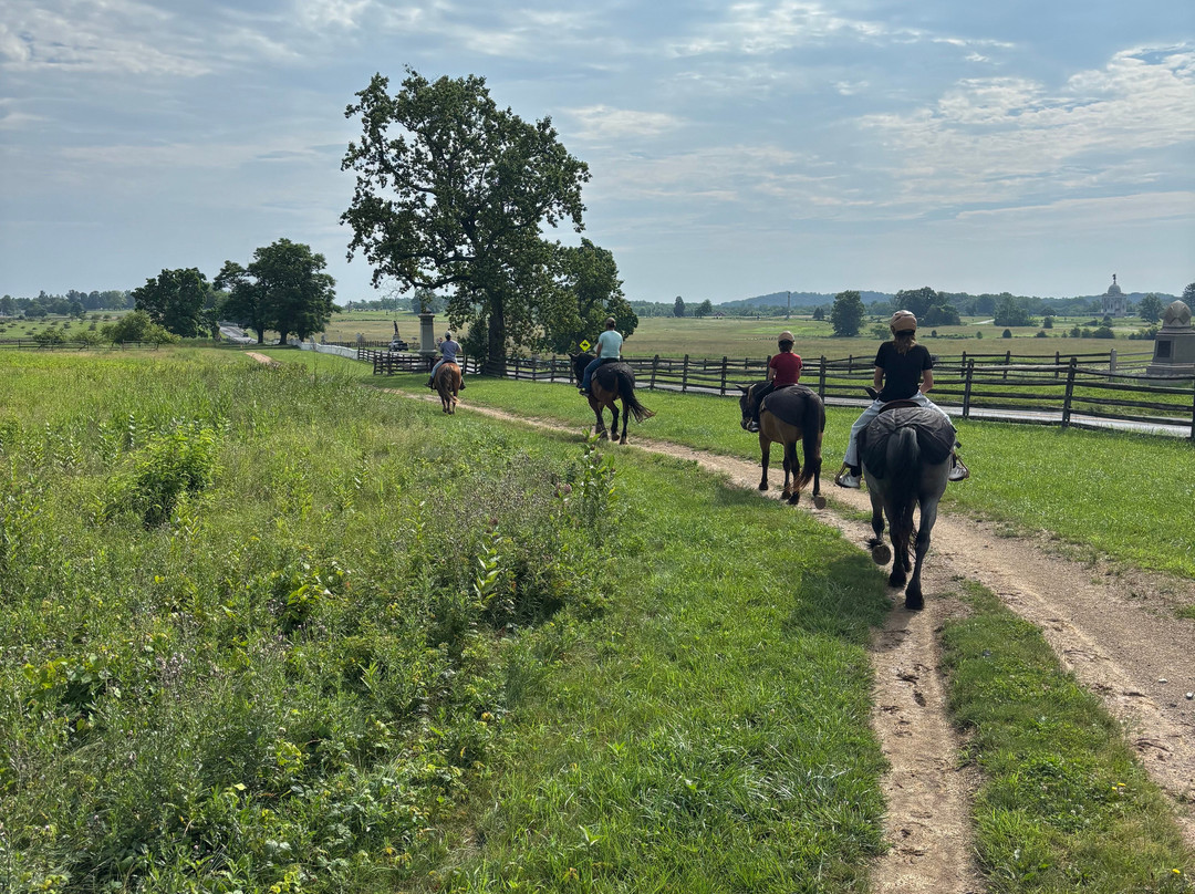 Hickory Hollow Horse Farm-葛底斯堡必去景点