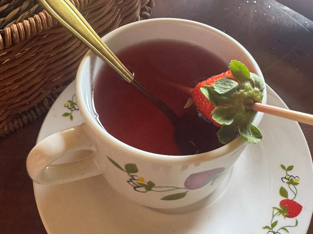 Fresas Ariyami-Constanza必去景点