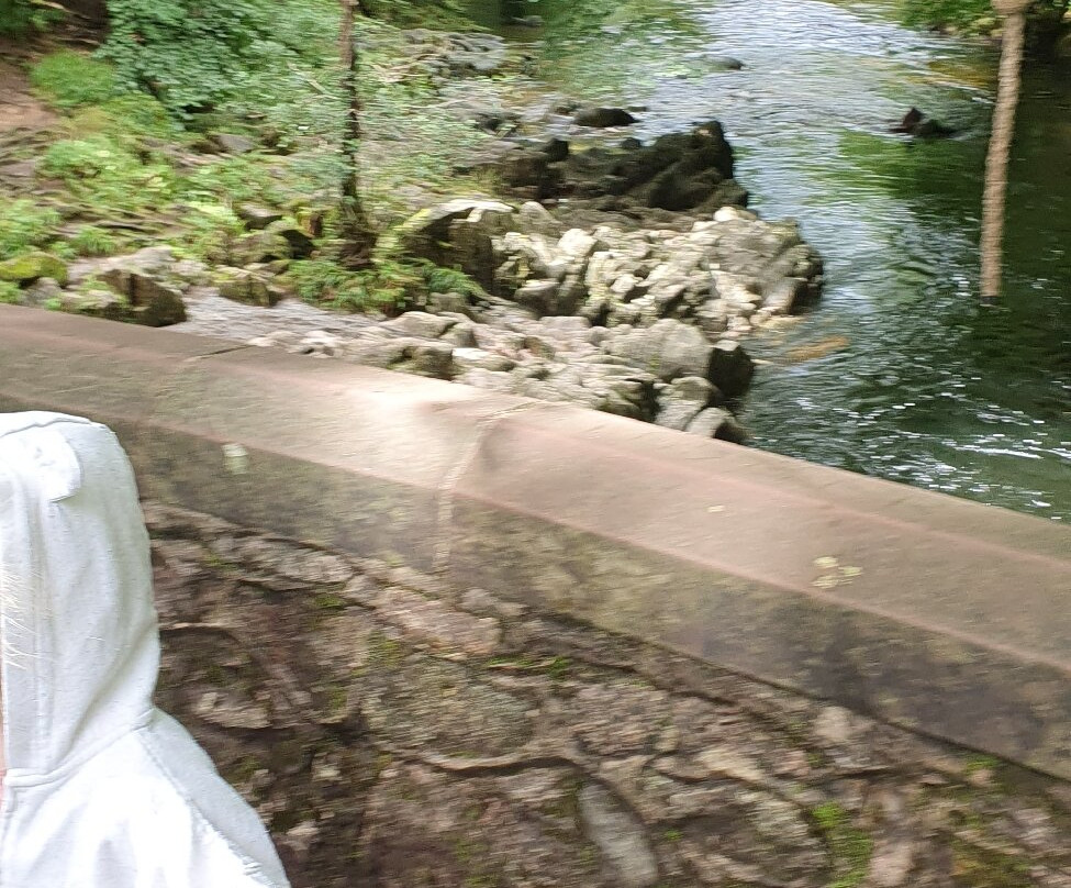 Stanley Ghyll Force Waterfall-Eskdale必去景点
