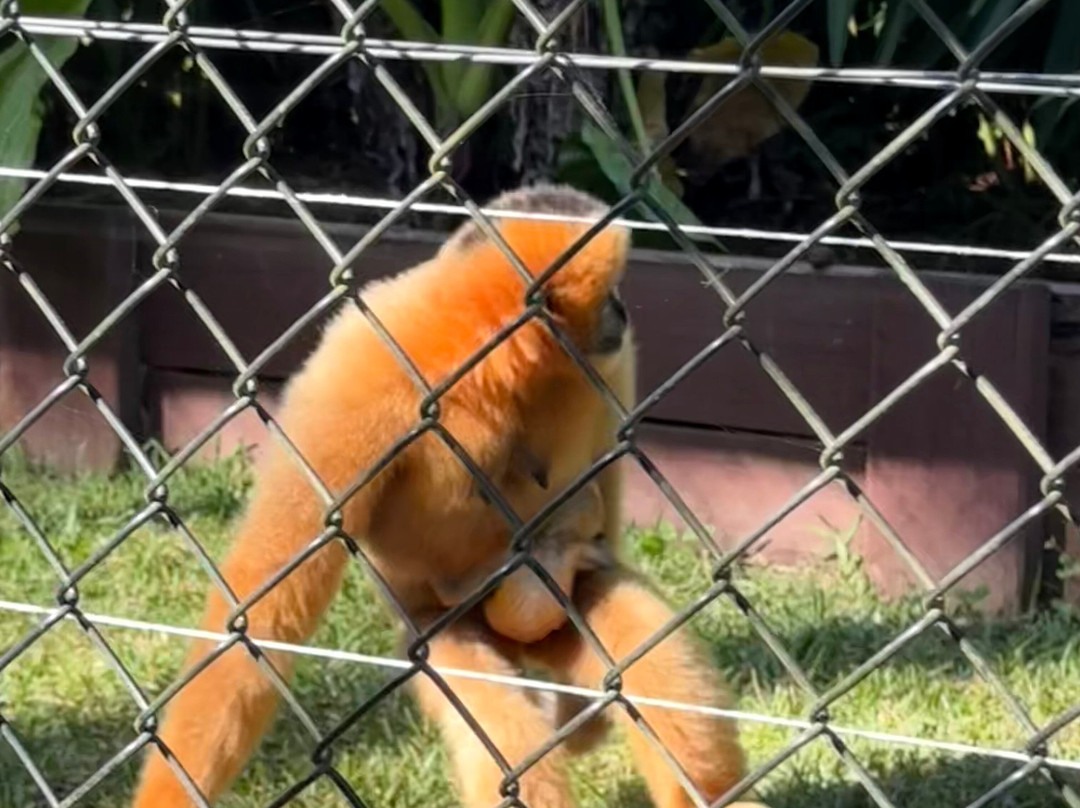 Wildlife HQ Zoo-Woombye必去景点