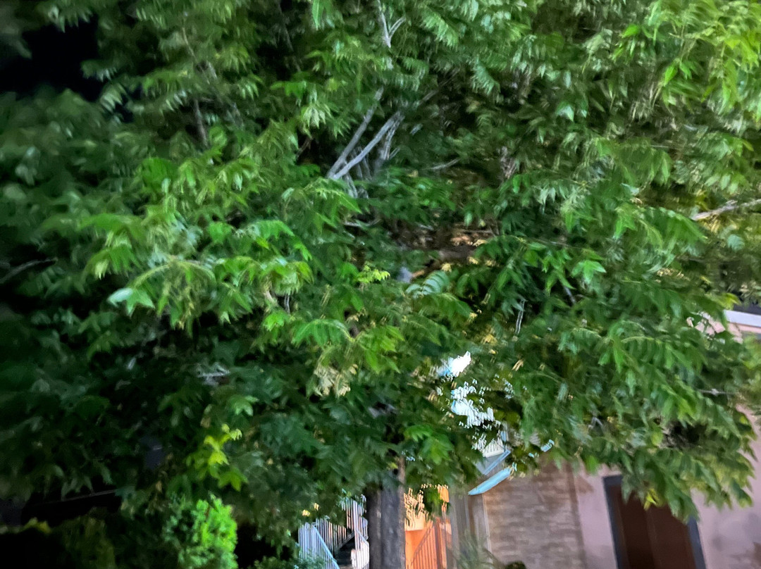 理想家园酒店主图