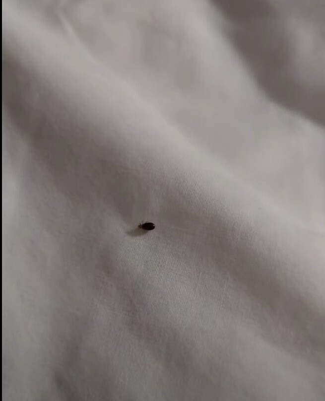 米尔福德凯悦普雷斯酒店主图