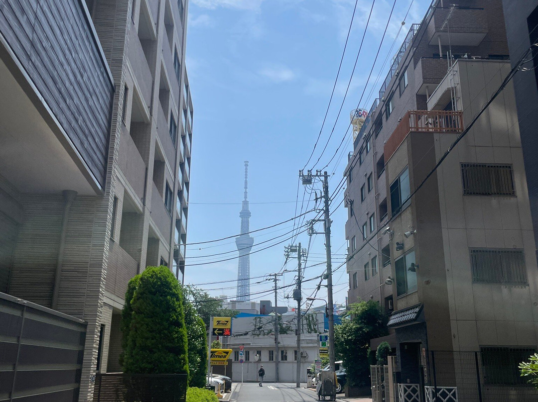 Hotel Tavinos Asakusa主图