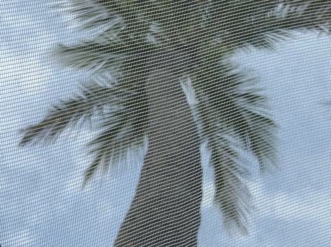 珊瑚汽车旅馆主图