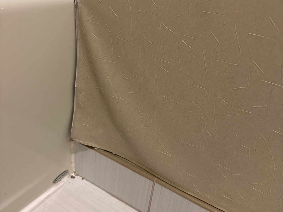 SpringHill Suites by Marriott Hampton主图