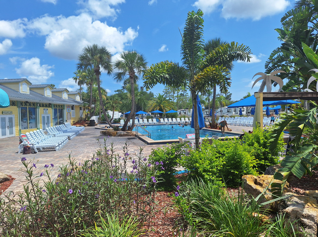 Encore Tropical Palms主图