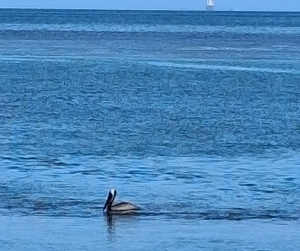 Kon-Tiki Resort主图