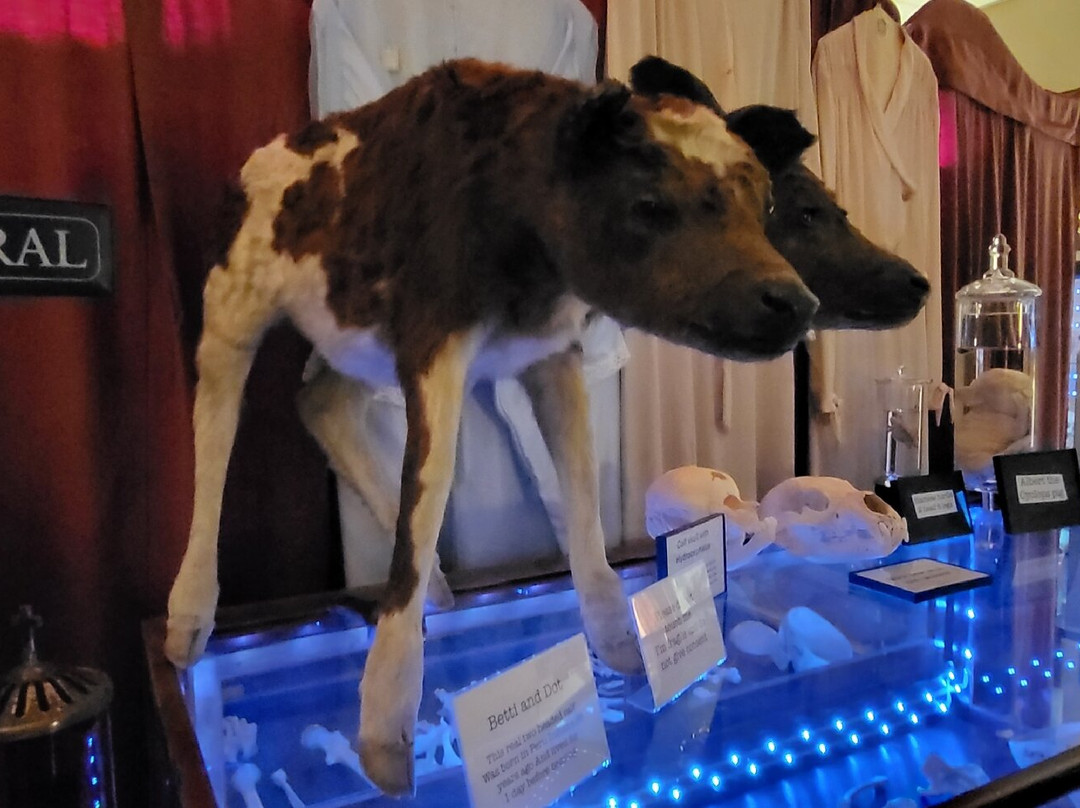 The Mourning Museum-Niles必去景点