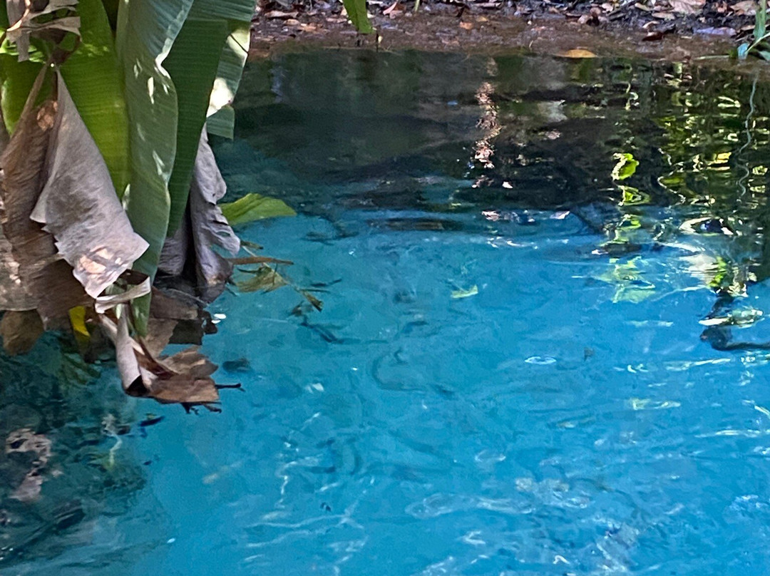 Jalapão Bicudo  Adventure-Ponte Alta do Tocantins必去景点