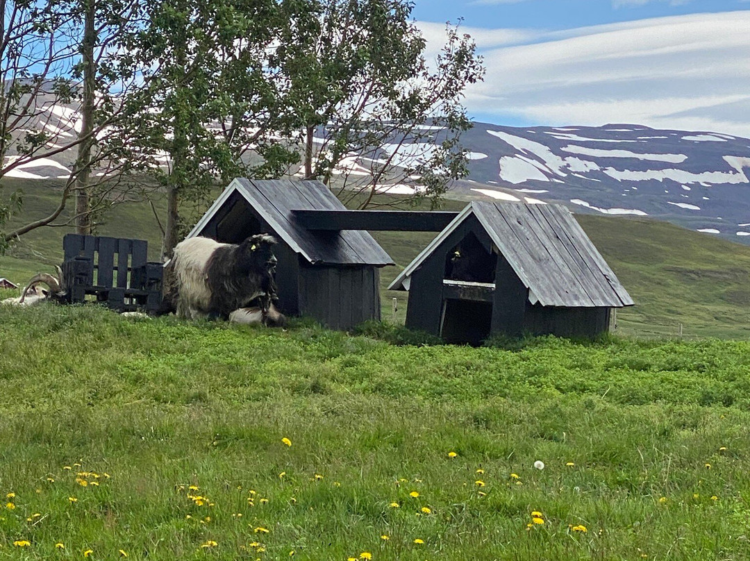 Brúnastaðir Guesthouse And Farm-Skagafjordur必去景点